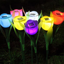 Load image into Gallery viewer, Powered Solar LED Tulip