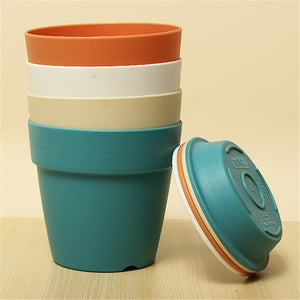 Flowerpot With Tray