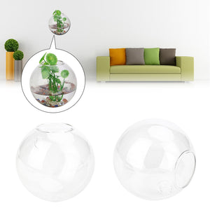 Glass Ball Vase