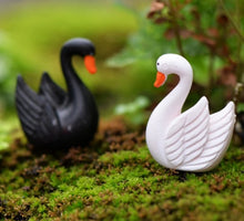 Load image into Gallery viewer, Swan Cygnus Lake Miniature
